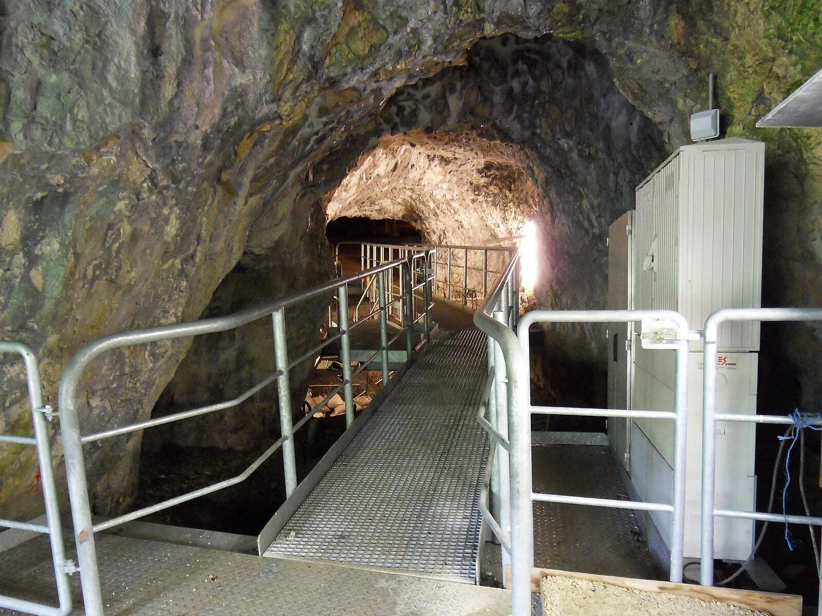 Caves and Ice Age Art in the Swabian Jura