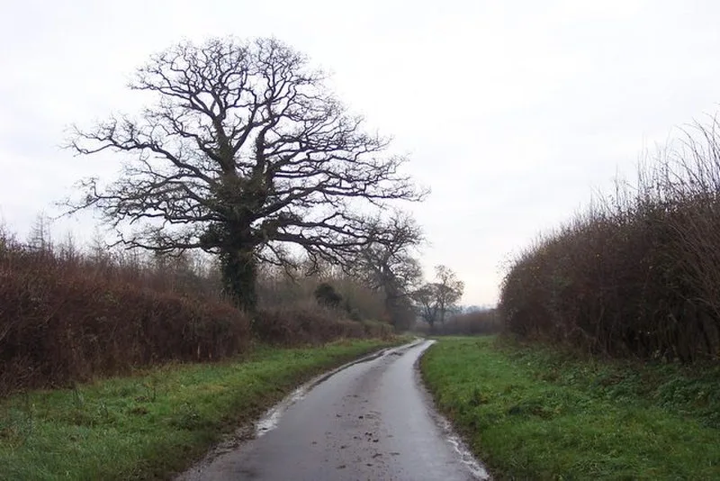 Welsh Way