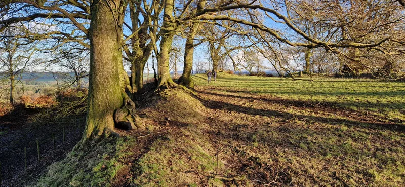 Huntsham Castle