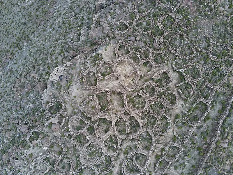 Laqaya