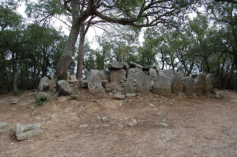 Cova d'en Daina