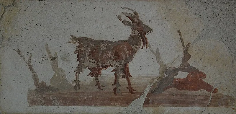 Villa Boscoreale