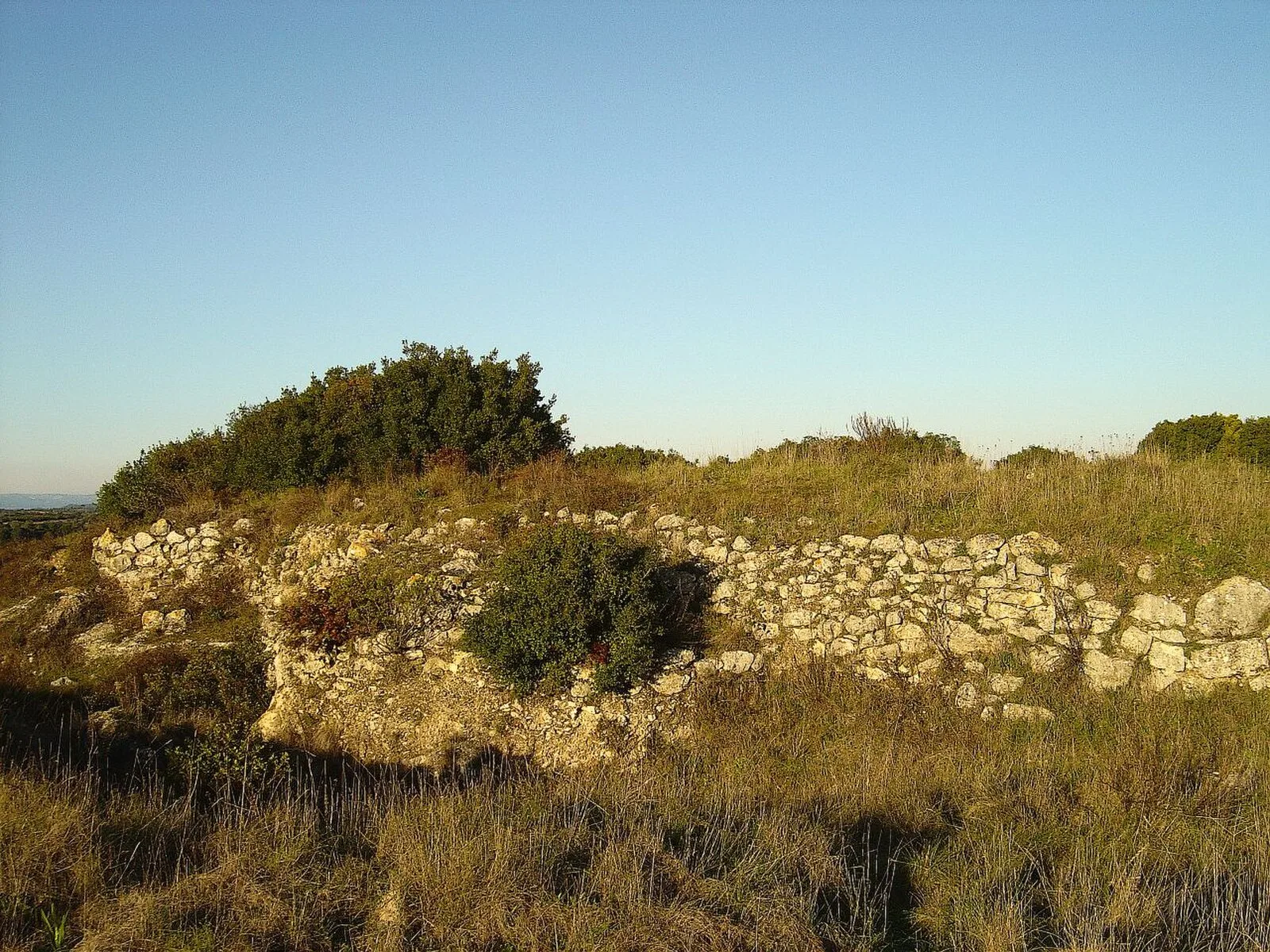 Castro of Vila Nova de São Pedro