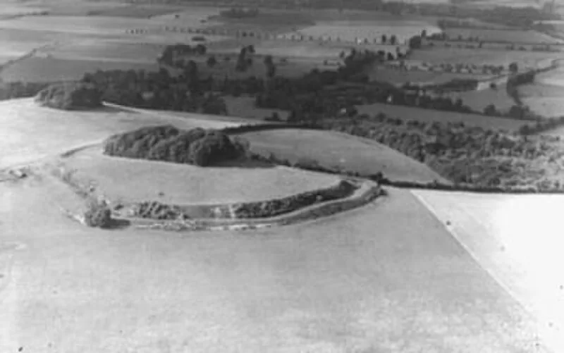 Wittenham Clumps