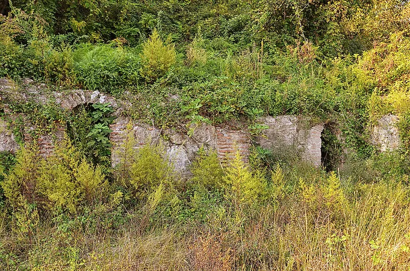 Ad Quintum