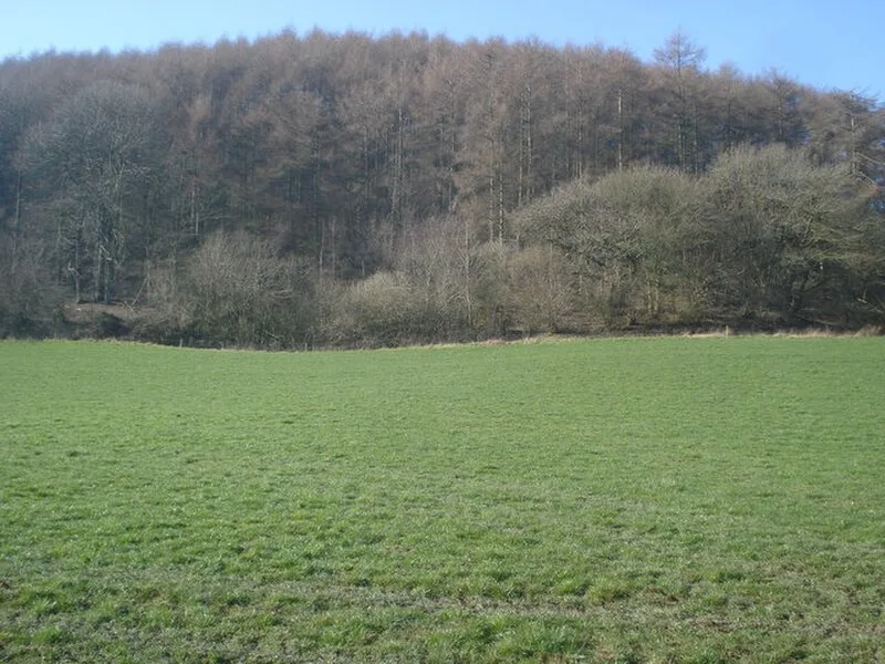 Burfa Castle
