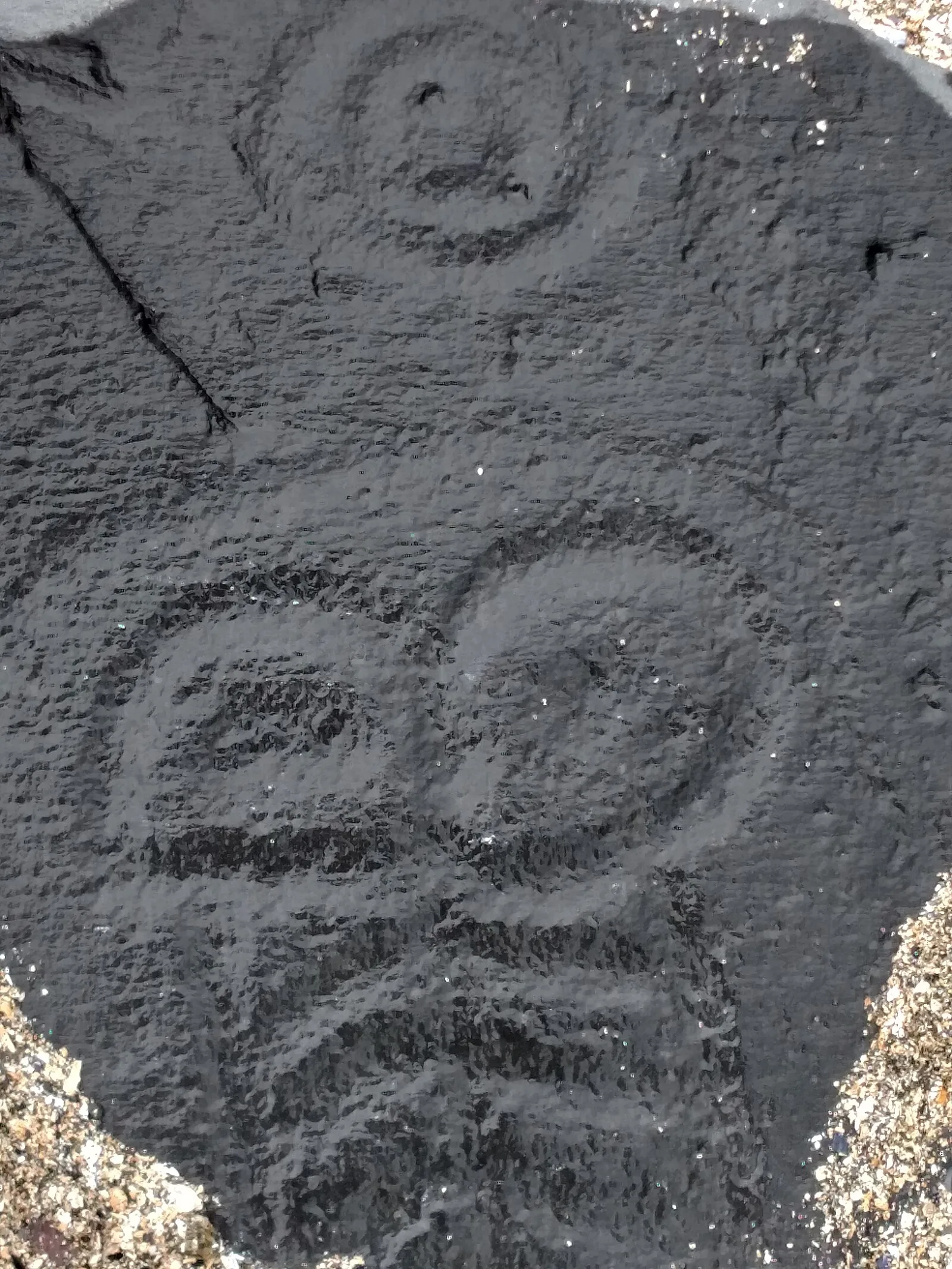 Petroglyph Beach State Historic Park
