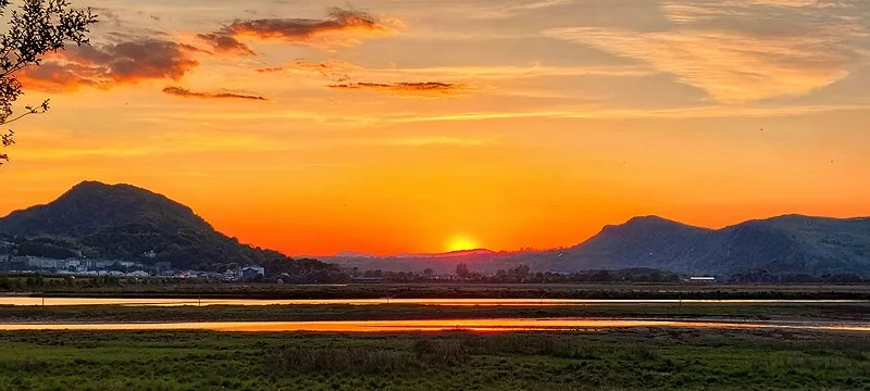 Moel y Gest