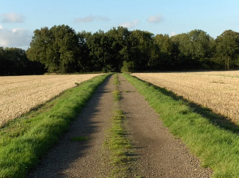 Membury Camp