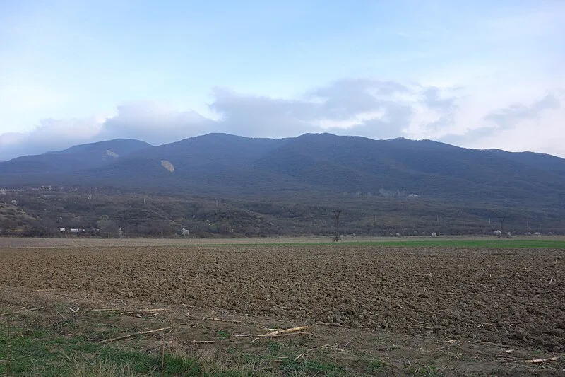 Tsitsamuri