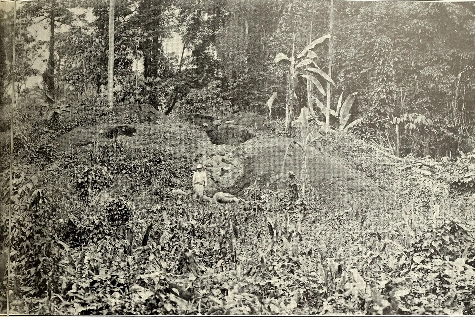 Las Mercedes Archaeological Site