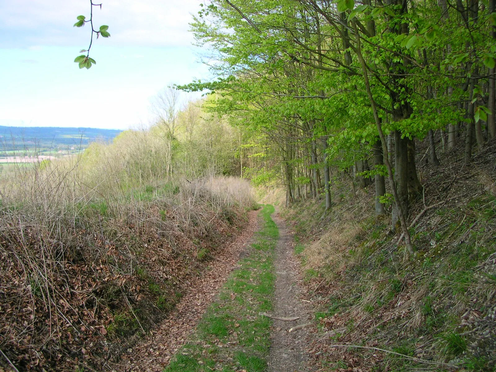 Chichester to Silchester Way