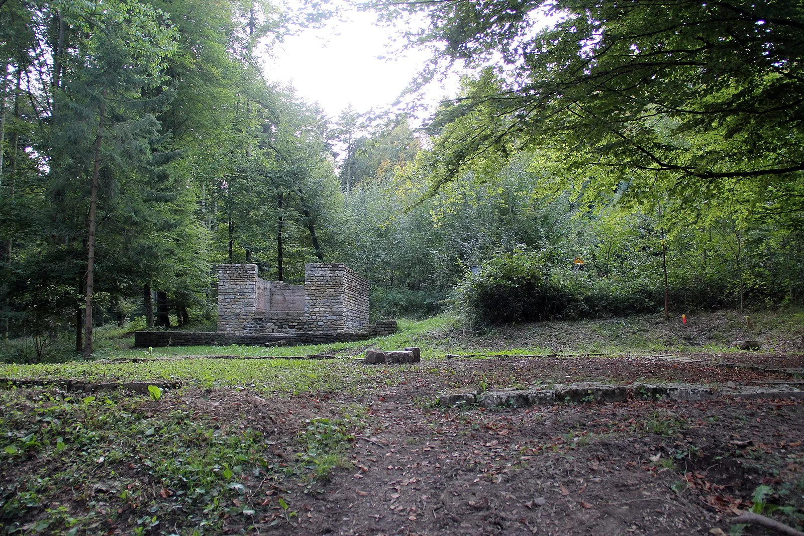 Petinesca