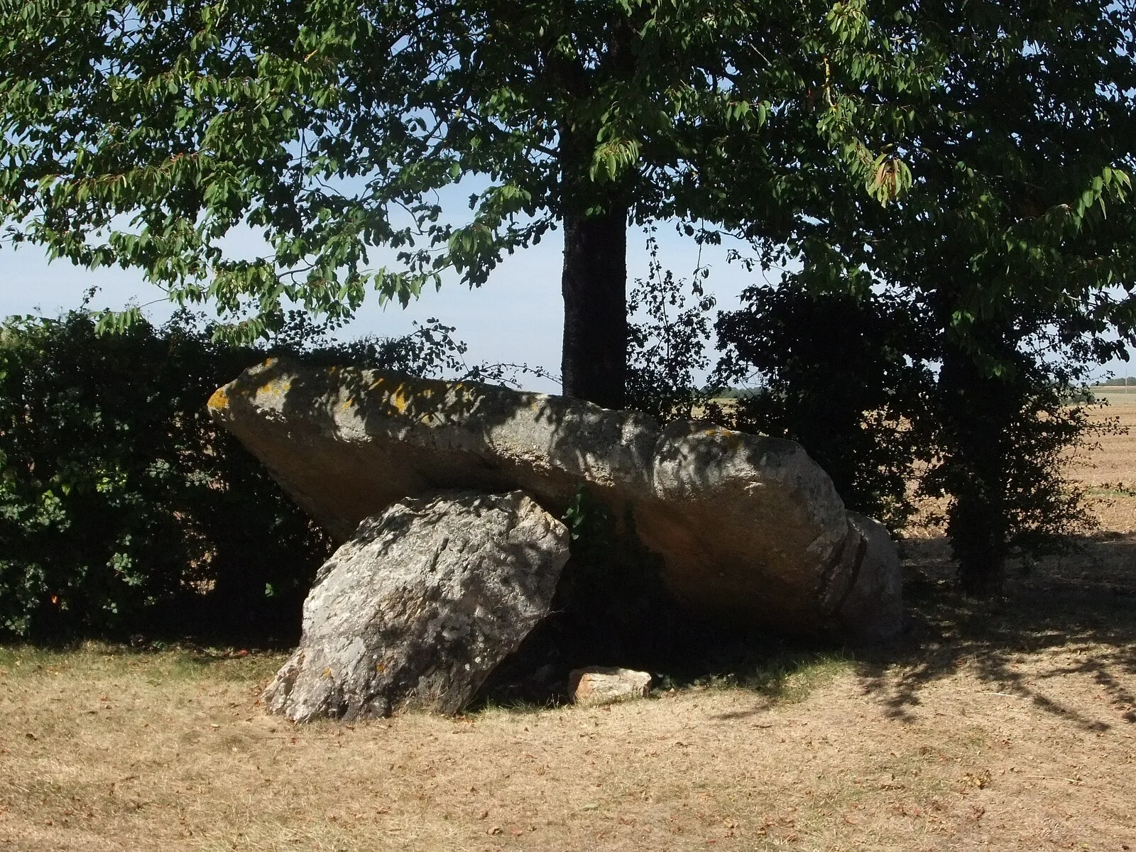 Fontaine-les-Bassets