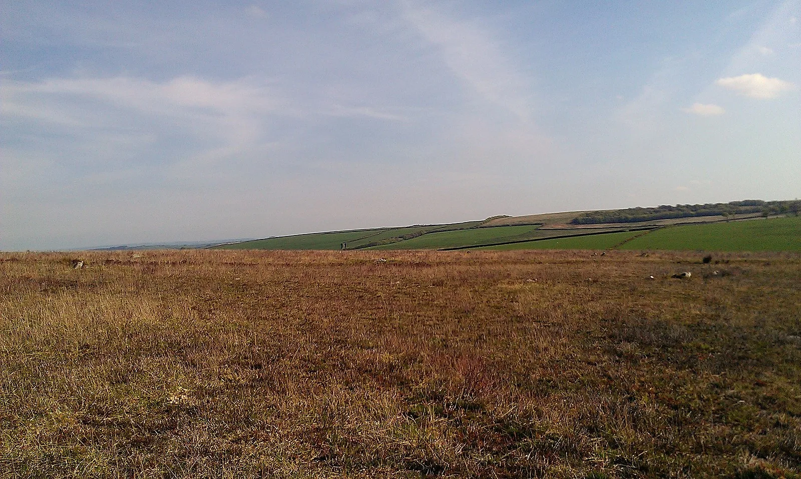 Withypool Stone Circle