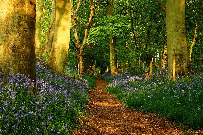 Greater Ridgeway