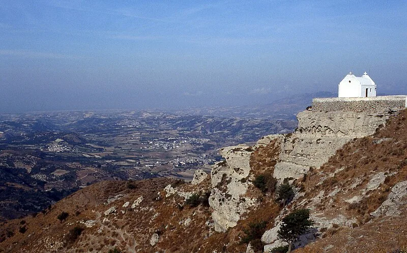 Prinias