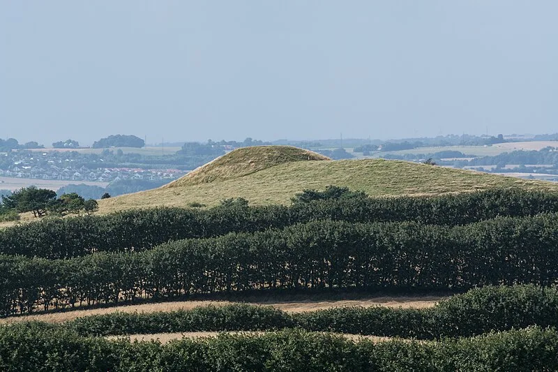 Agri Bavnehøj