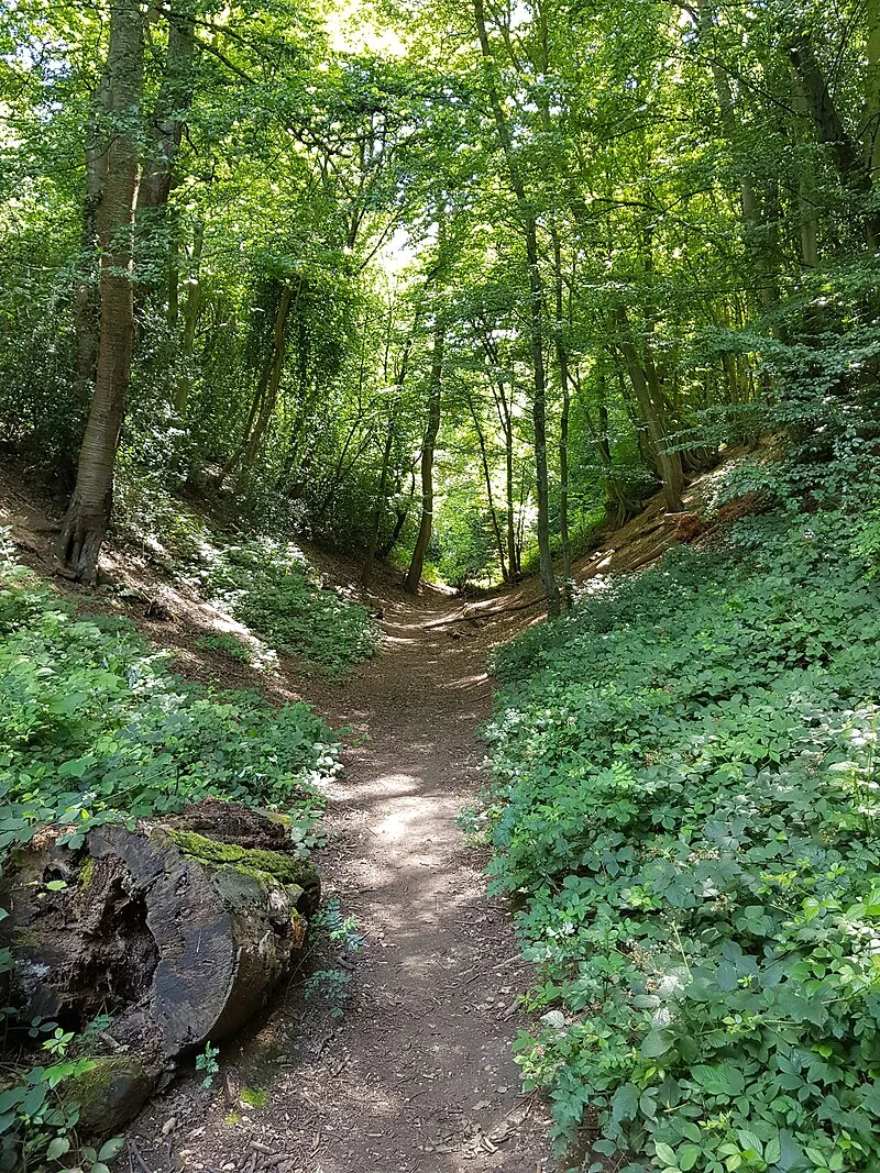 Devil's Dyke, Hertfordshire