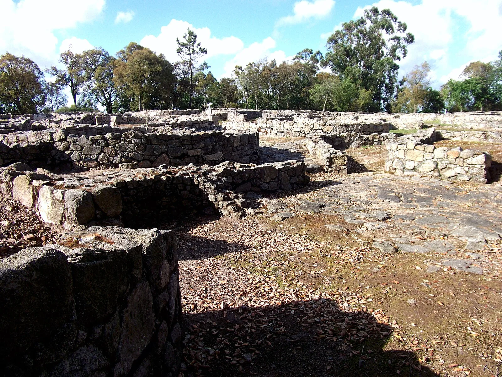 Cividade de Terroso