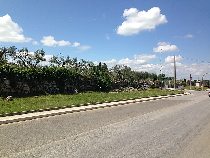 Megalithic Walls of Altamura