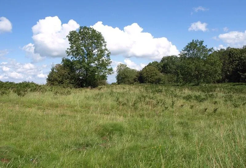 Burrington Camp