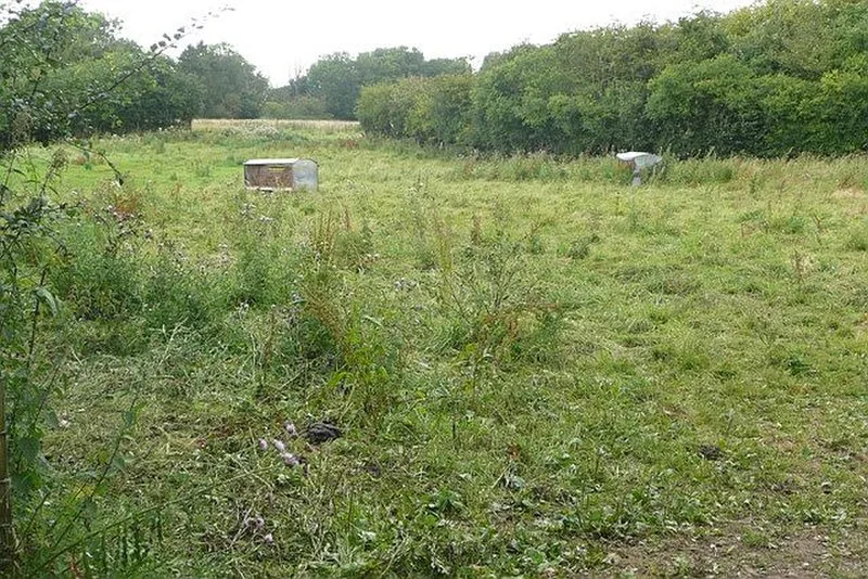 Tidbury Ring