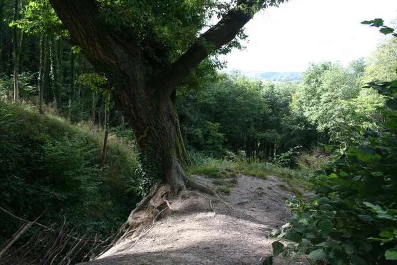 New Ditch