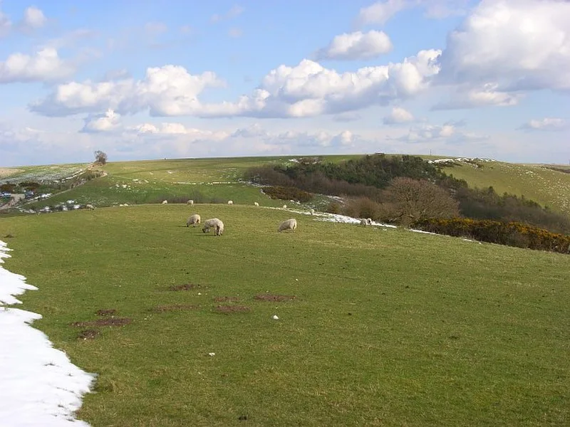 Walbury Hill