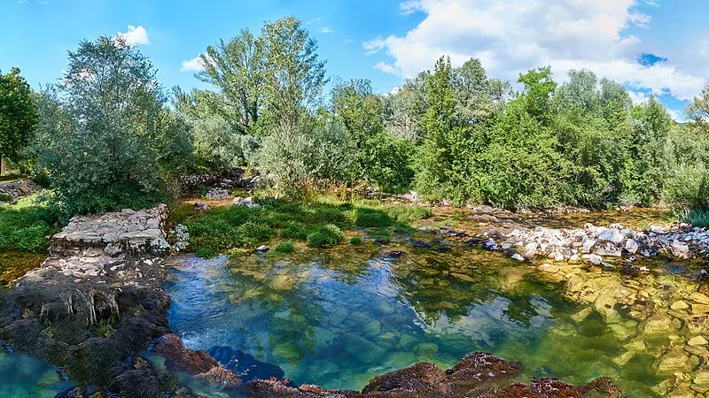 Cetina