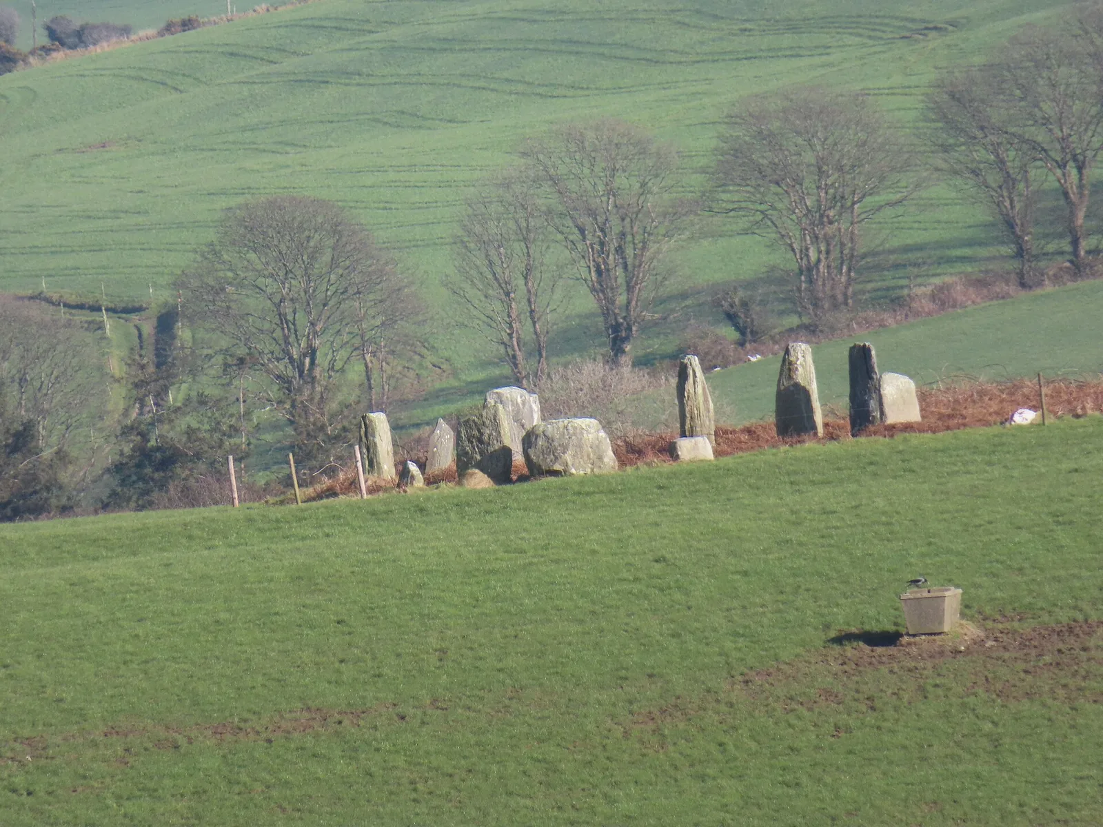 Bohonagh Stone Circle