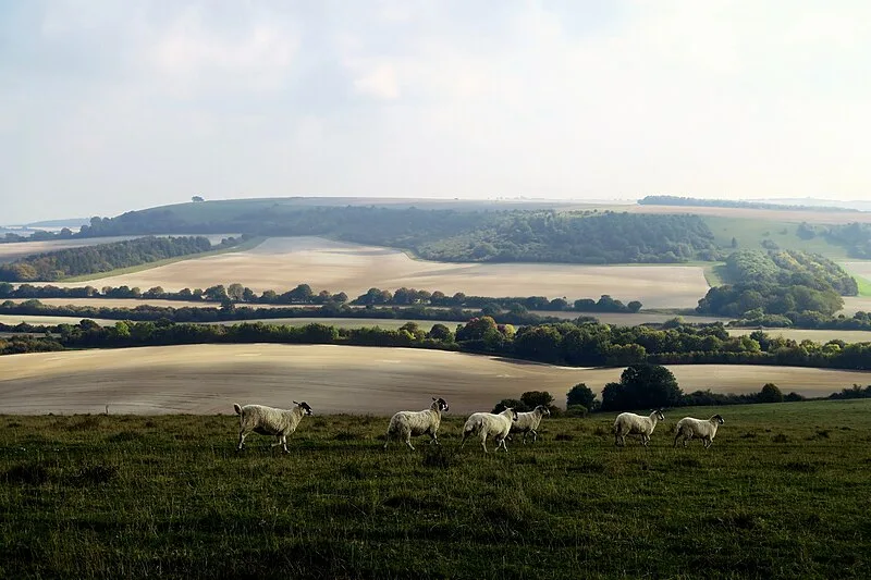 Beacon Hill, Burghclere, Hampshire