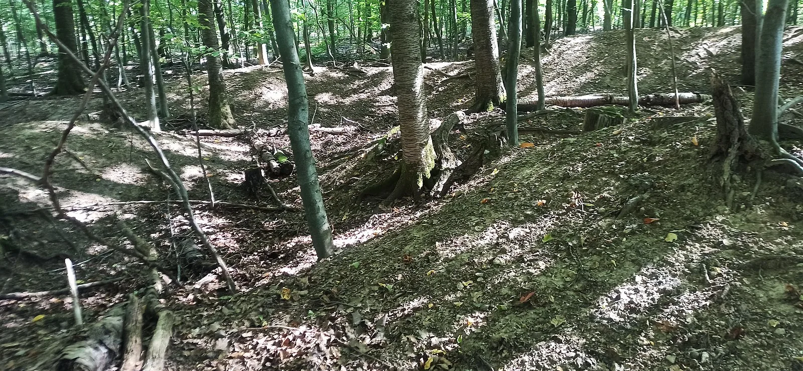 Am Forsthofweg