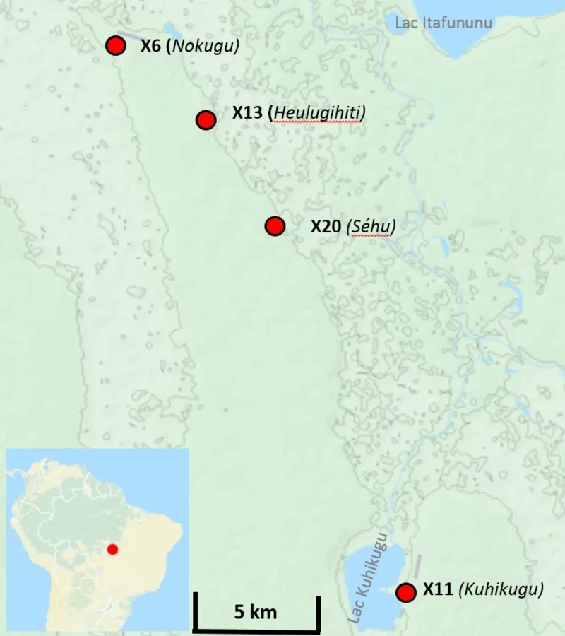 Kuhikugu