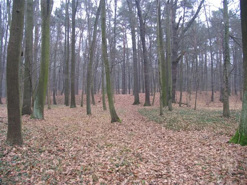 Chrobry Fortified Village