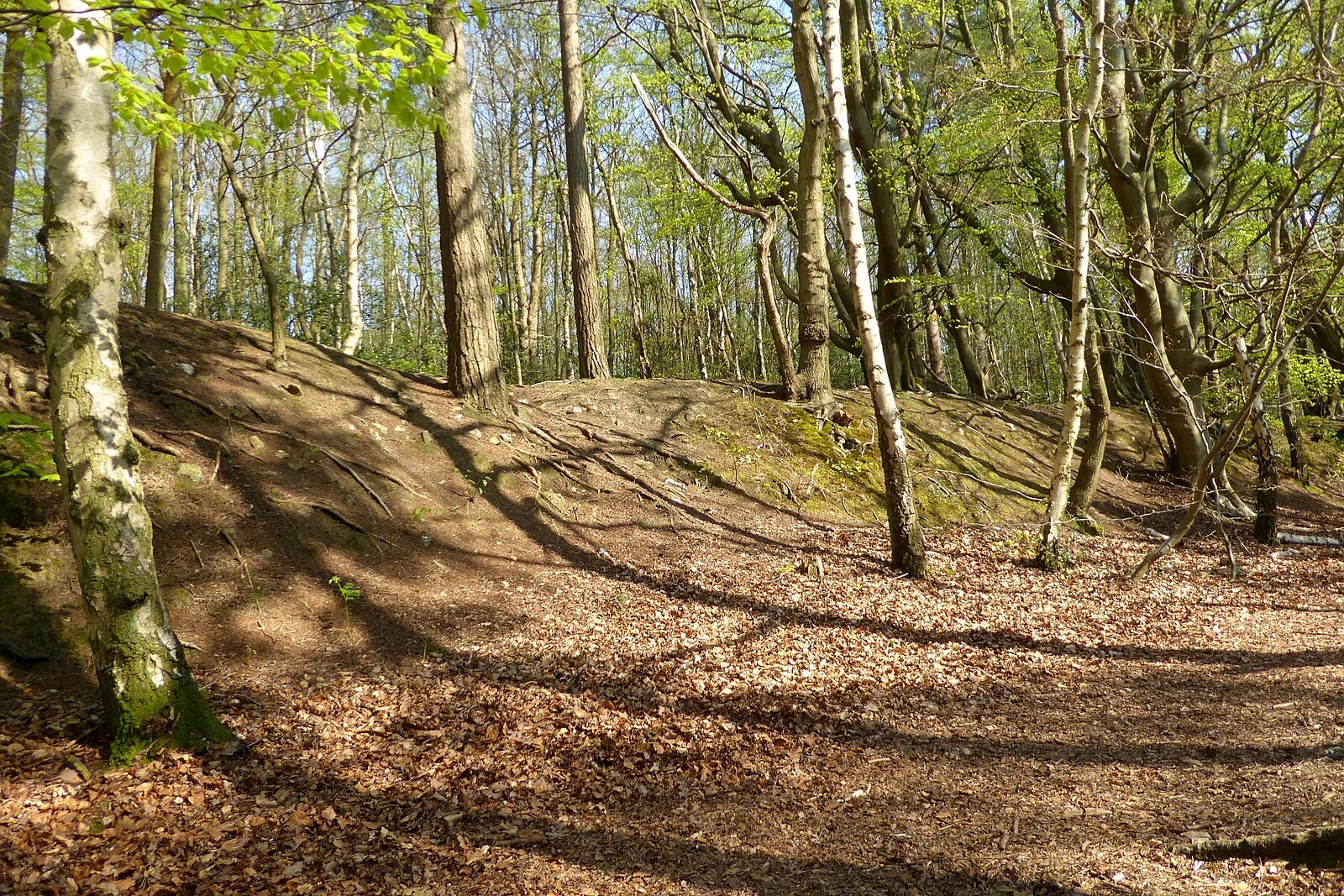 Oldbury Camp