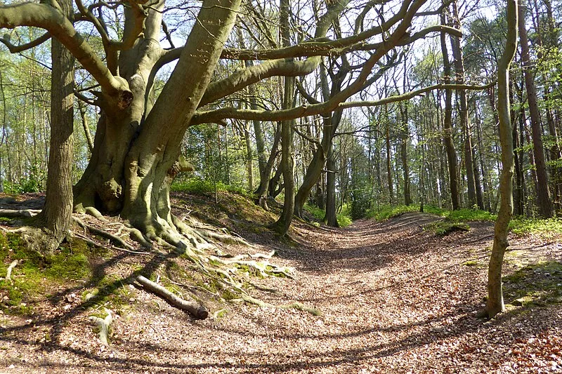 Oldbury Camp
