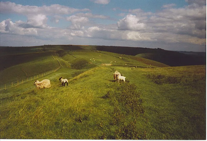 Tan Hill, Wiltshire