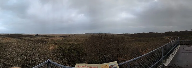 Goonhilly Downs - Dry Tree Menhir
