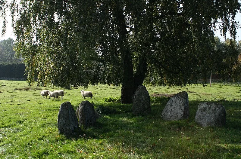 Vätteryd Grave Field