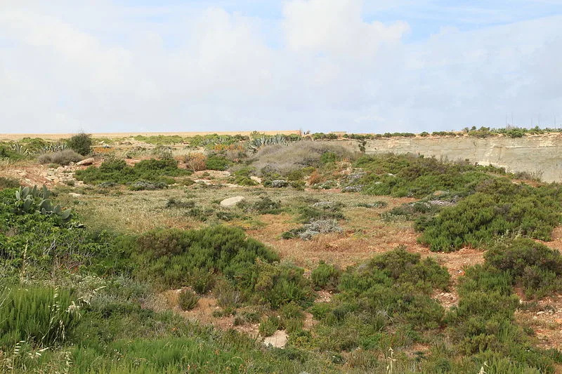Xrobb l-Għaġin Temple
