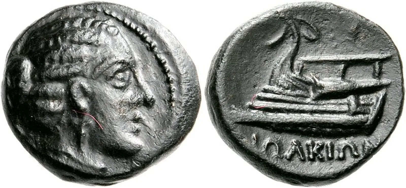 Iolcus
