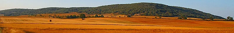 Archaeological Site of Atapuerca