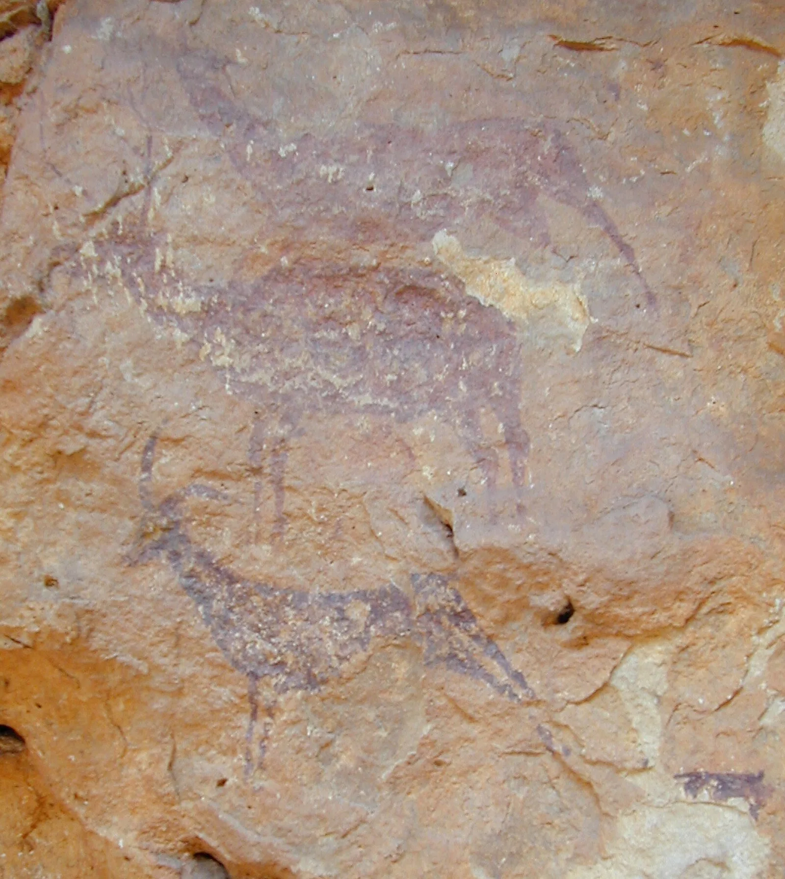 Cuevas de la Araña
