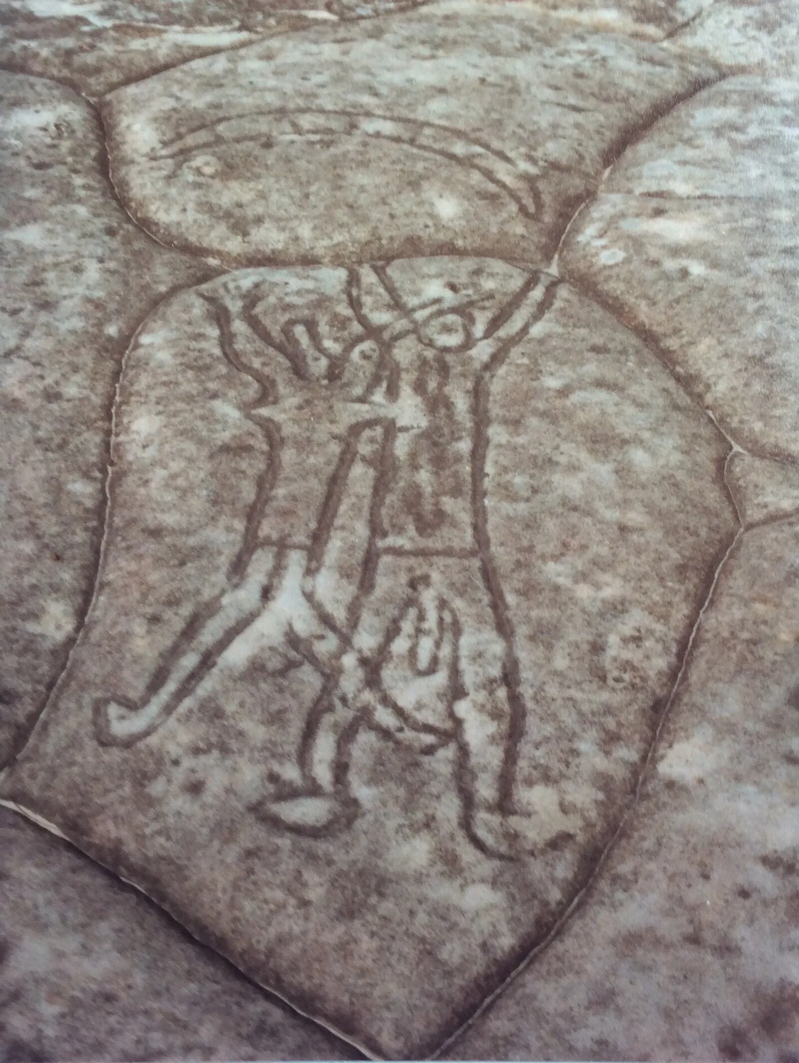 Sydney Rock Engravings
