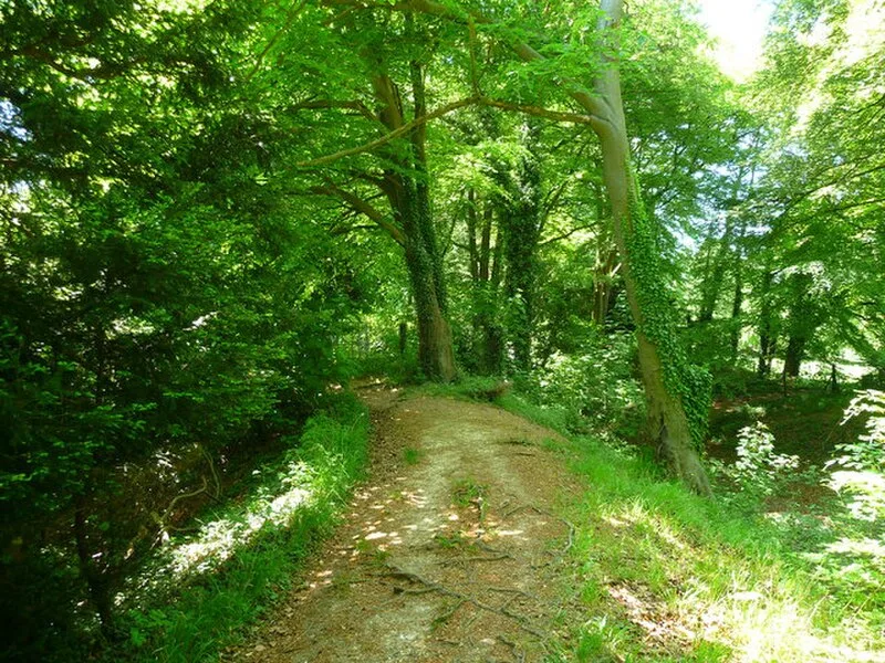 Bury Hill