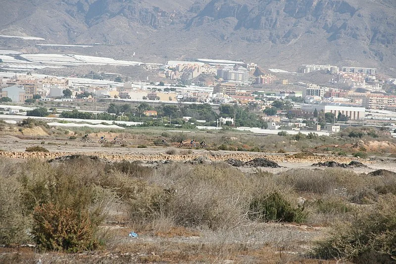 Archaeological Site of La Ribera de Algaida