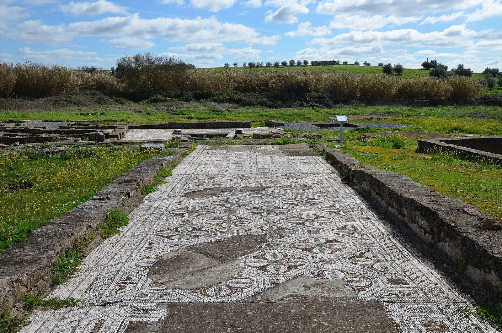 Roman Ruins of Pisões
