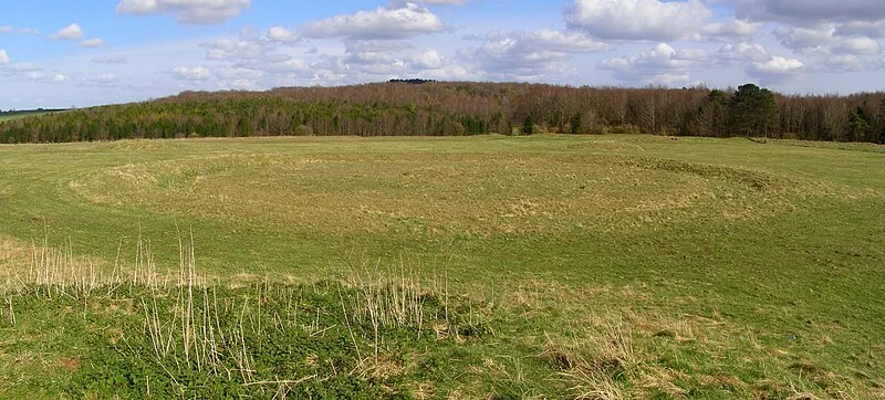 Oakley Down Barrow Cemetery