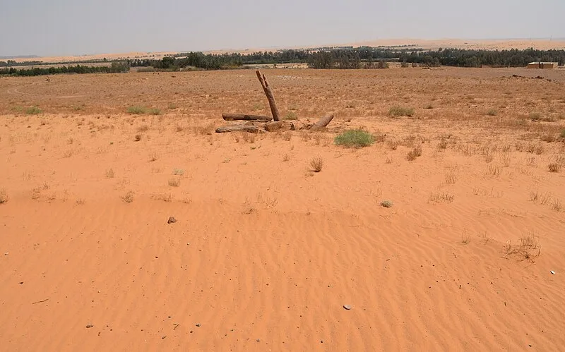 Columns of Rajajil